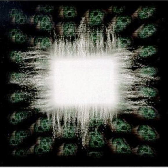 Meet your Posher, Dave - Picture 1 of 1